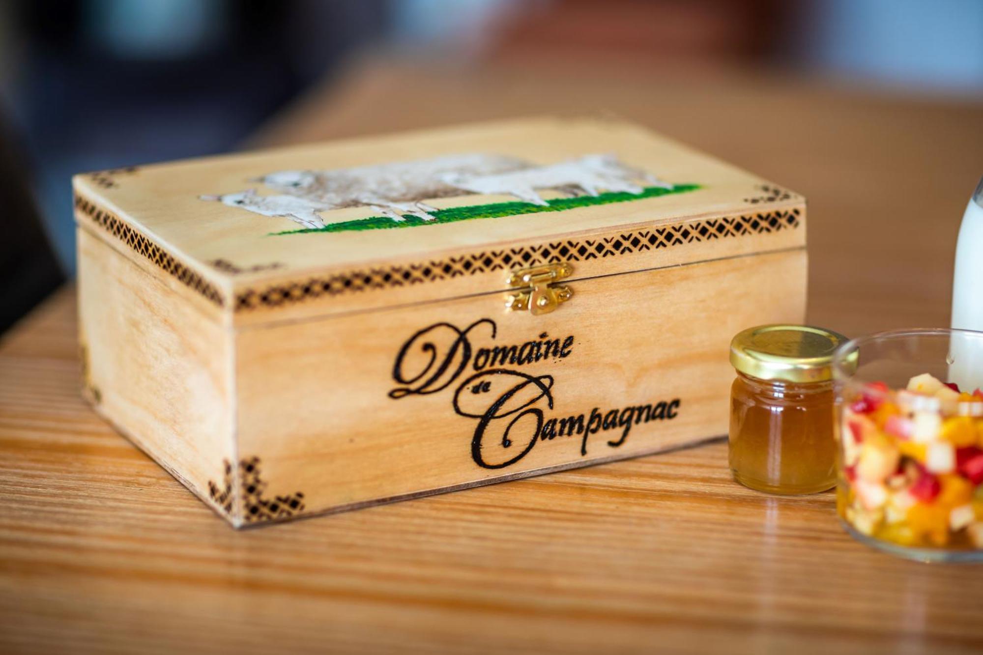 Domaine De Campagnac - Spa & Sauna Carsac-Aillac Ngoại thất bức ảnh