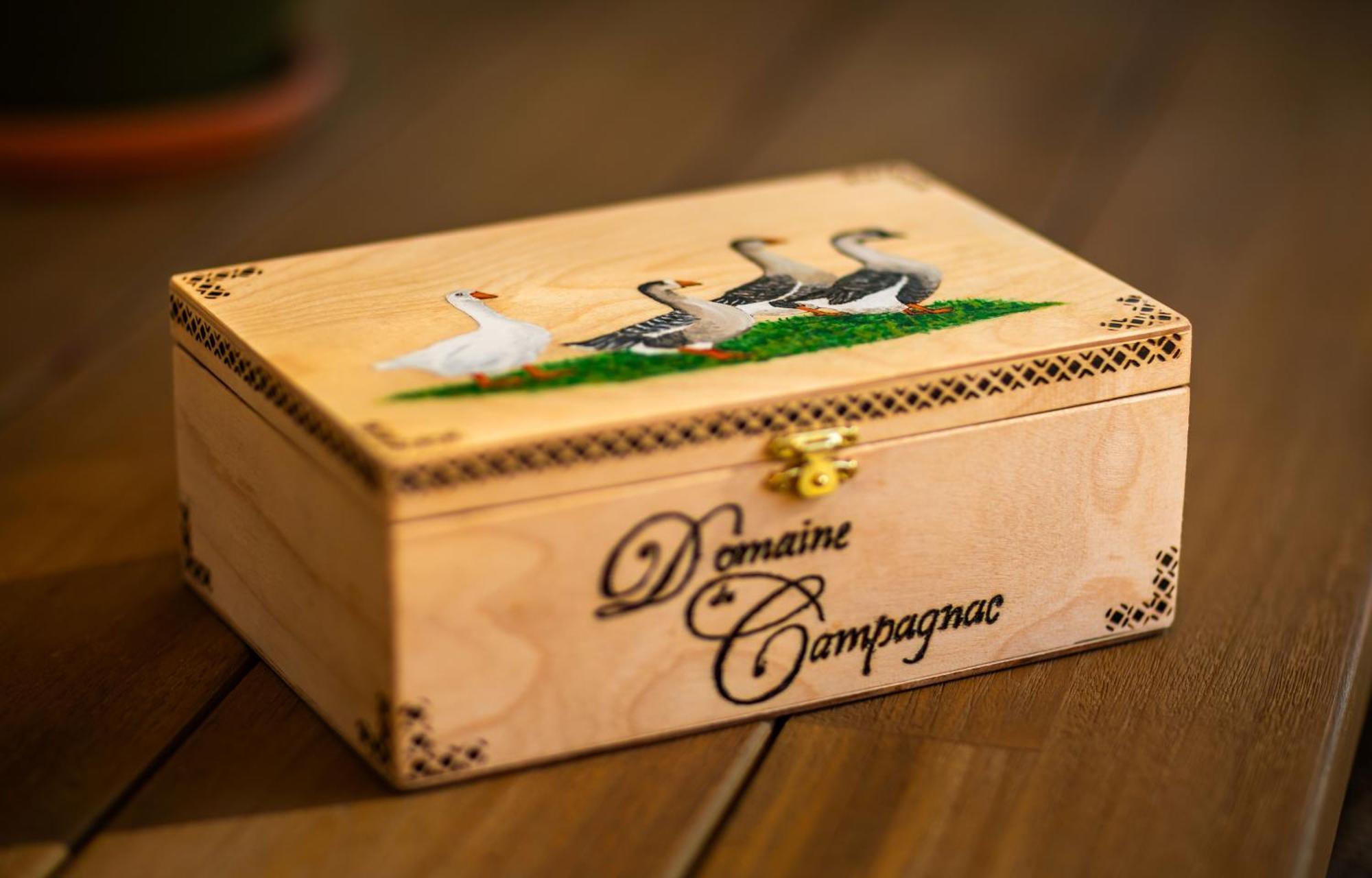 Domaine De Campagnac - Spa & Sauna Carsac-Aillac Ngoại thất bức ảnh
